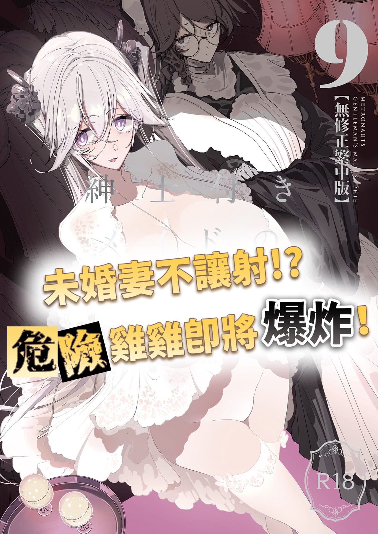 [Metro Notes (Tsumetoro)] Shinshi Tsuki Maid no Sophie-san 9 | 貼身女僕蘇菲 9 [Chinese] [Decensored] [Digital] page 2