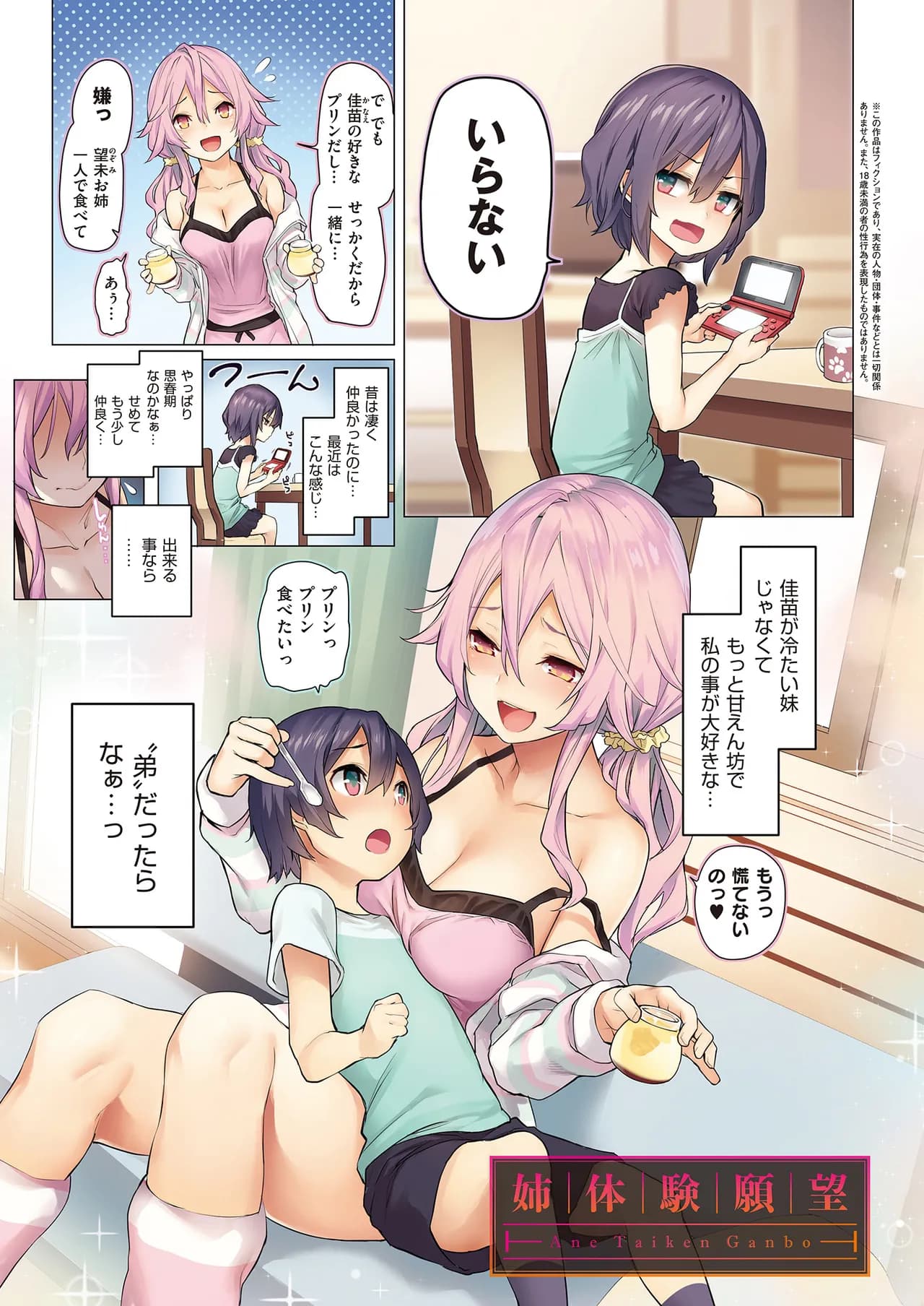[Michiking] Ane Taiken Jogakuryou [Decensored] [Digital] page 10