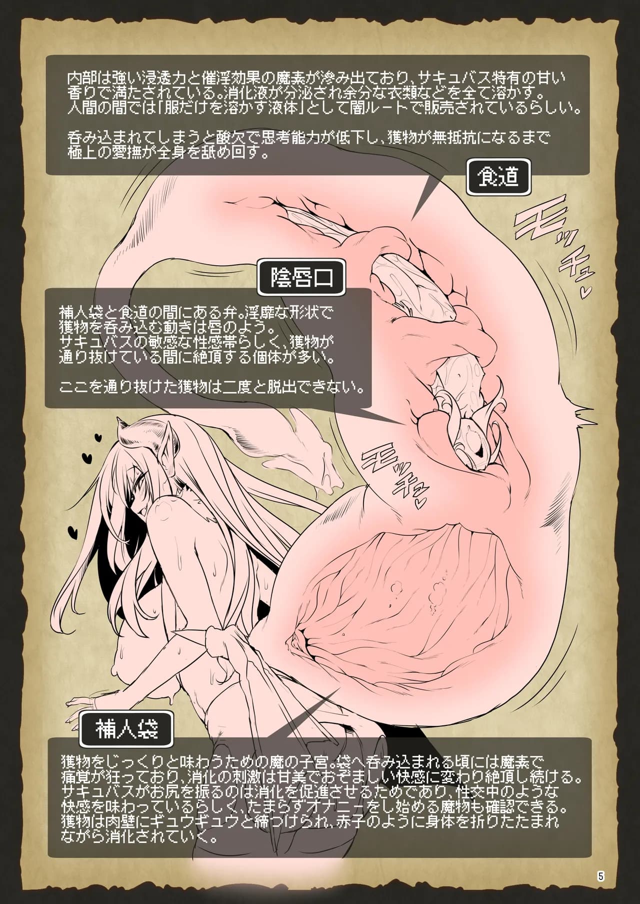 [KAMINENDO.CORP (Akazawa RED)] The Adventurer's Guide to Monsters Succubus no Himitsu Kan [Uncensored] [Digital] page 5